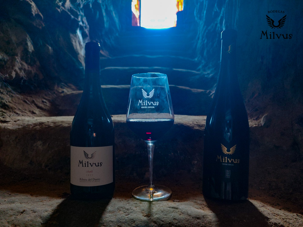 Bodegas Milvus, en el Valle de la Arandilla en la Ribera del Duero