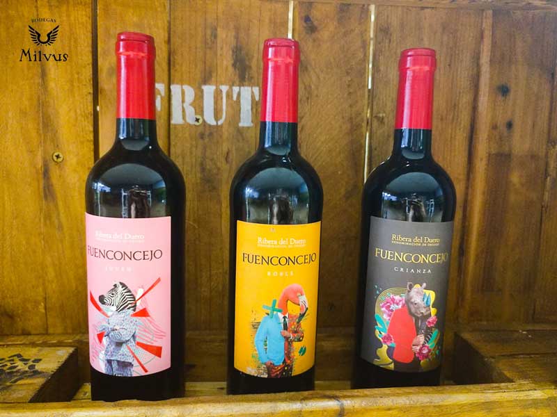 Vinos Fuenconcejo D.O. Ribera del Duero de Bodegas Milvus