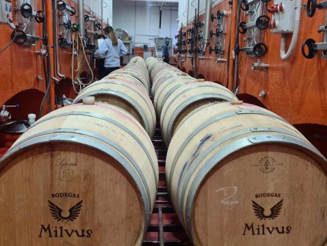¿En qué consiste el proceso de fermentación del vino? Tipos de fermentación