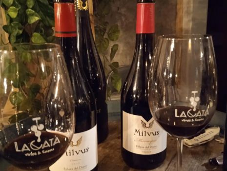 Bodegas Milvus enamora Sevilla con su vino de Zazuar
