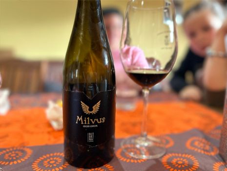 Un brindis de agradecimiento: Celebrando nuestro compromiso con el vino de excelencia