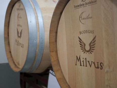 Diferencias entre la fermentación del vino en barrica y depósito